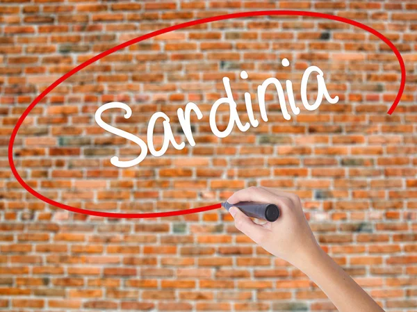 Kadın el yazma Sardunya görsel ekranda siyah kalemi ile