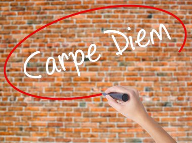 Kadın el yazma Carpe Diem görsel ekranda siyah kalemi ile