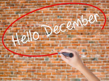 Kadın el yazma Merhaba Aralık No ile görsel üzerinde siyah kalemi