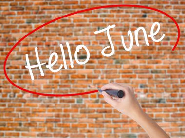 Kadın el yazma Merhaba June ile görsel dağ eteğindeki taş yığını üzerinde siyah kalemi