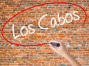 Kadın el yazma kapsamlı bir işaretleyici şeffaf kartı 