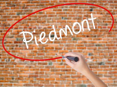 Kadın el yazma kapsamlı bir işaretleyici şeffaf kartı 