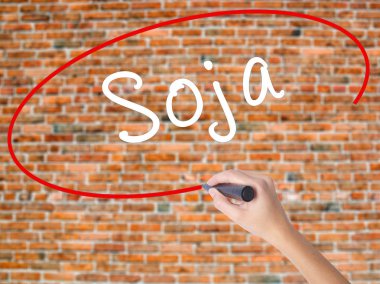 Kadın el yazma kapsamlı bir işaretleyici şeffaf kartı 