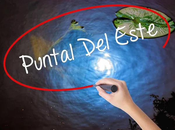 Женщина пишет рукой Пунтал дель Эсте с маркером поверх прозрачного — стоковое фото
