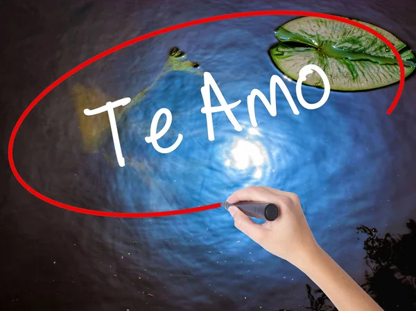 女人的手写作 Te Amo （我爱你在西班牙） 标记 — 图库照片