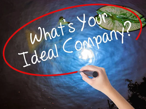 Woman Hand Writing Whats Your Ideal Company? with marker over tr — Stock Photo, Image