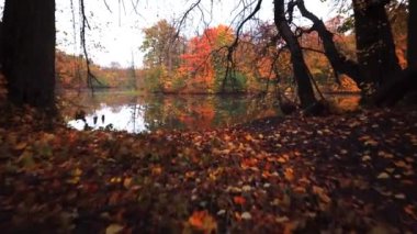 Havadan görünümü. Güzel sonbahar Nehri üzerinde uçan. Hava kamera çekim. 4k