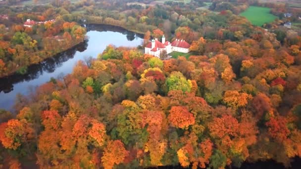 空中飛んでお楽しみください美しい秋の森と城。美しい城; 以上のフライト秋に緑の木々 の林の景色公園に位置します。4 k 撮. — ストック動画