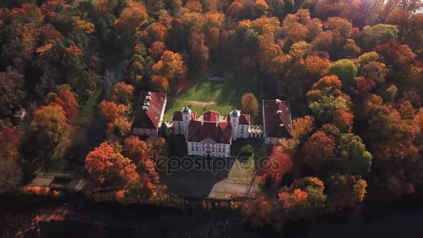 Vista frontal aérea del castillo. Vuelo sobre hermoso castillo, situado en el parque del paisaje con árboles verdes bosques en otoño. 4K — Vídeos de Stock