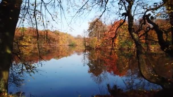 Letecký pohled. Létání nad krásnou podzimní řeka. Letecká kamera natáčela. — Stock video