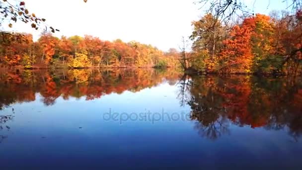 Vista aerea. Sorvolando il bellissimo fiume d'autunno. Fotocamera aerea ripresa . — Video Stock