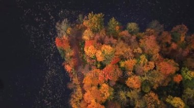 Ayna göl ve renkli ağaçlar sonbahar manzara. Aeria 4k