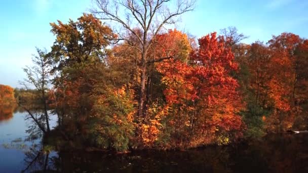 Осенний пейзаж. Парк осенью. Яркие цвета осени в парке у озера. Воздушный выстрел. 4k-дрон — стоковое видео