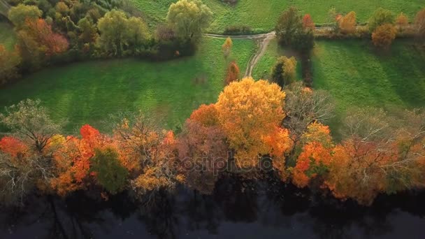 Hojas rojas en los árboles a lo largo del río en otoño. Disparo aéreo 4k — Vídeos de Stock