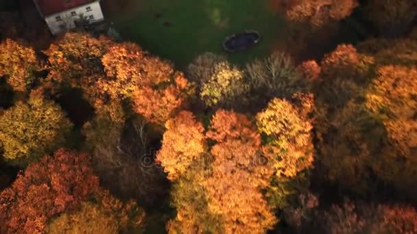Hermosa vista del castillo en otoño. Palacio en Europa. Vista aérea 4k drone — Vídeos de Stock