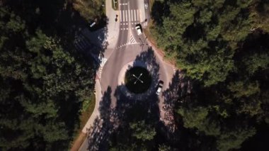Küçük dolambaçlı hava atış. Yol sürüş forest.4k arabalar