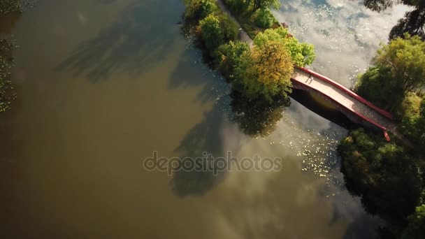 Parc public romantique petit pont de marche sur l'étang situé à verdoyant paysage calme arbres suspendus sur les deux côtés de la voie de promenade bel endroit pour profiter de l'extérieur 4k haute résolution — Video