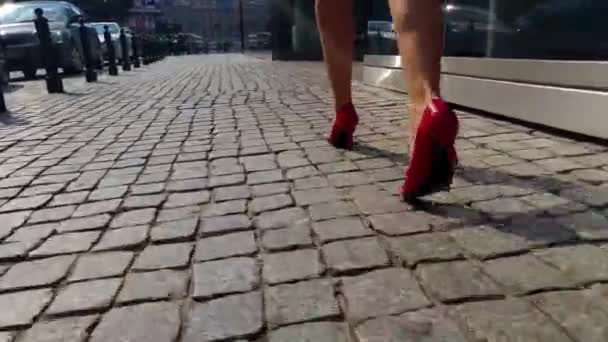 Smart Business Frau Füße nahe Ernte zu Fuß zur Arbeit Betreten des gläsernen Firmengebäudes trägt High Heels Stadt Pendler-Konzept — Stockvideo