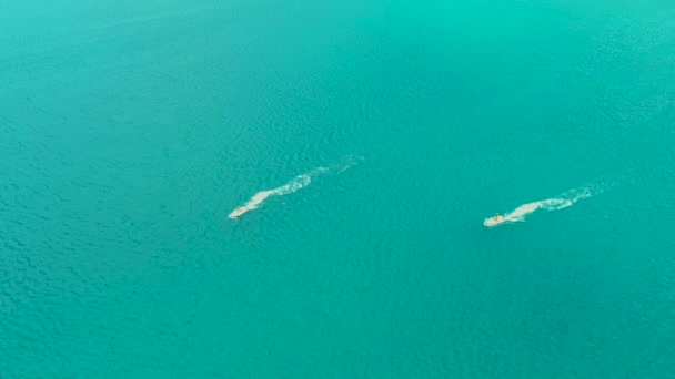 Scooters na superfície do mar. Vista aérea do barco flutuante de luxo em água azul-turquesa transparente no dia ensolarado. A paisagem marinha de verão do ar. Vista superior do drone. Seascape com lancha na baía . — Vídeo de Stock