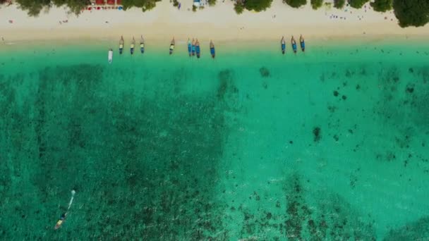 Légi kilátás hosszú farok csónak a tengeren, kilátás felülről. Légi felvétel Long tail Boat lebeg egy türkiz kék és zöld tengervíz. Trópusi táj Phi Phi sziget, Andaman-tenger, Krabi, Thaiföld — Stock videók