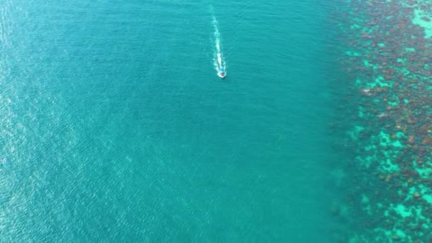 Flygfoto över Long Tail Båtar flyter på kristallvatten längs sandstranden i Thailand.Sommar antenn Visa bilder i 4k. — Stockvideo