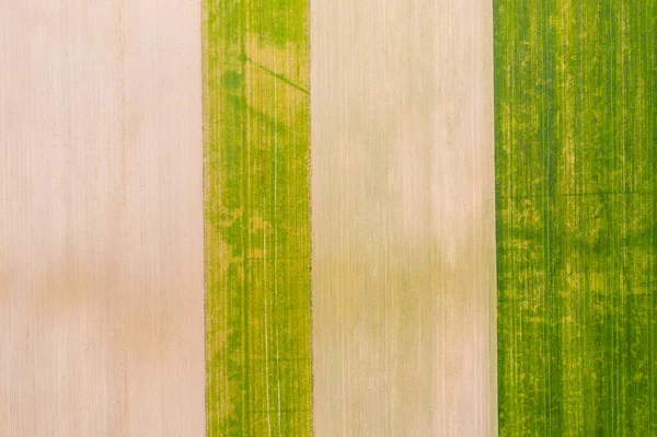 Listras Verticais Parcelas Agrícolas Diferentes Culturas Tiro Vista Aérea Drone — Fotografia de Stock