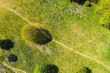 Toprak yolun ve sık yeşil ormanların üst manzarası. Bir yaz gününde insansız hava aracıyla güzel, parlak manzara fotoğrafçılığı.