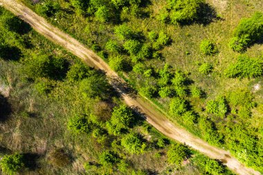 Toprak yolun ve sık yeşil ormanların üst manzarası. Bir yaz gününde insansız hava aracıyla güzel, parlak manzara fotoğrafçılığı.