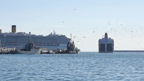 Groot schip in de haven. Zeemeeuw voeden in de lucht — Stockvideo