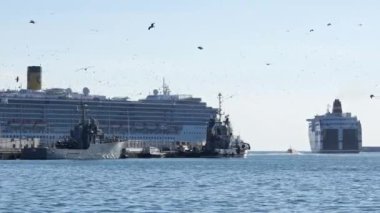 Büyük feribot Malaga bağlantı noktası. Havada besleme martı