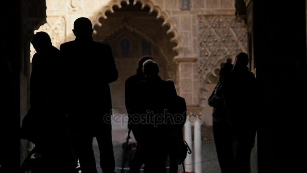 Silhouette of old man on the sightseeing tour — Stock Video