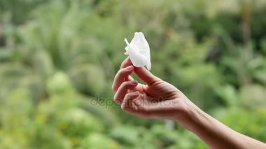 Güzel kadın ormanlarda bir çiçek koklama