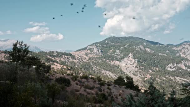 Pássaros voando nas montanhas. Kemer, Turquia — Vídeo de Stock