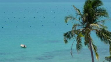Tropikal görünüm. Tayland