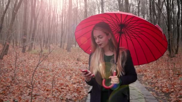 Mujer joven usando el teléfono móvil — Vídeos de Stock