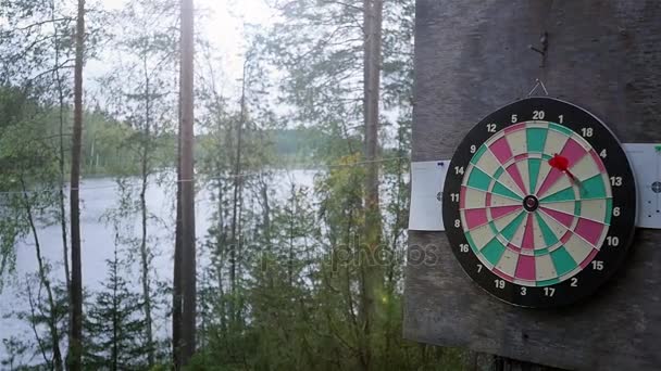 Jugando con la familia. Dardos en la naturaleza — Vídeos de Stock