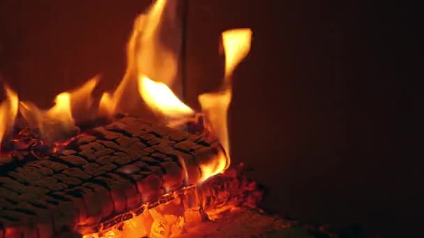 Fuego en un horno de pizza — Vídeos de Stock