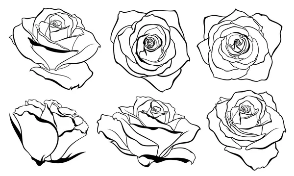 Vector set of detailed, isolated outline Rose bud sketches in black color. Vector illustration for design on white background. — Stock Vector