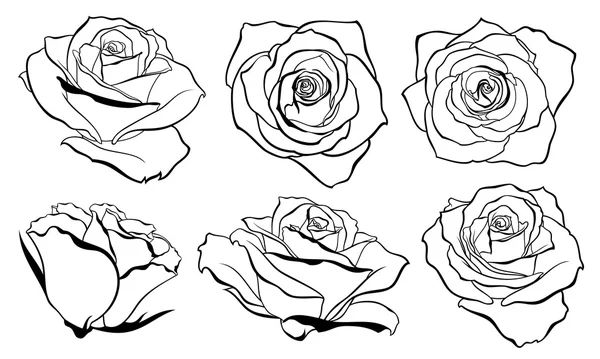 Vektor sor részletes, elszigetelt szerkezeti Rózsa-bud vázlatok, fekete színű. Design, fehér háttér vektor illusztráció. Jogdíjmentes Stock Vektorok