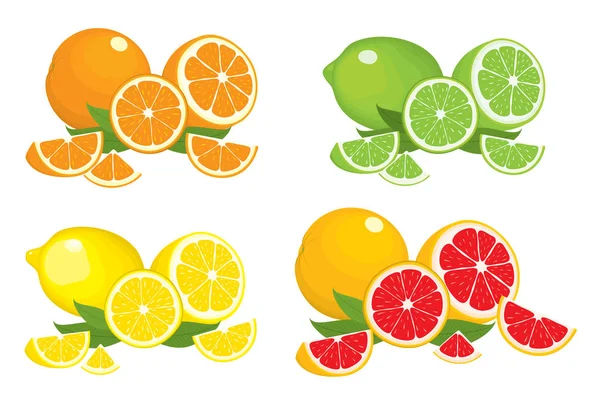 Colección de productos cítricos: naranja, limón, lima y pomelo con hojas, aislados sobre fondo blanco. Conjunto de vectores de frutas y rodajas enteras. Ilustración colorida para el diseño . — Vector de stock