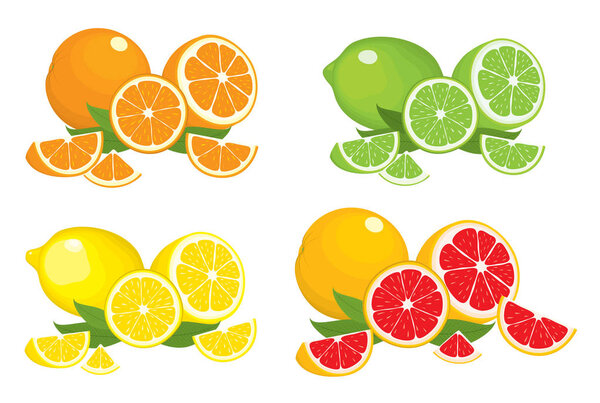 Collection of citrus products - orange, lemon, lime and grapefruit with leaves, isolated on white background. Vector set of whole fruits and slices. Colourful illustration for design. 