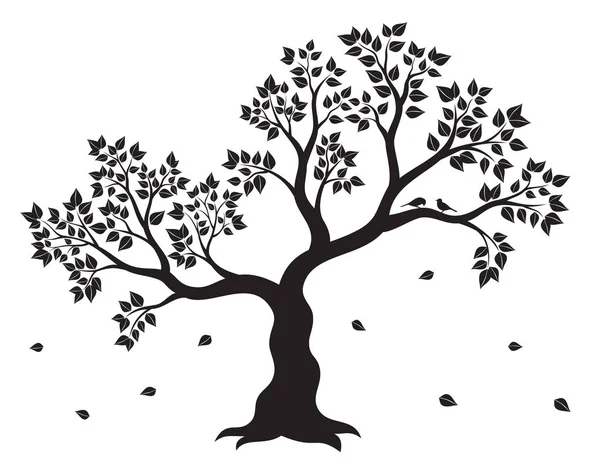 Vector illustration of tree with leaves and two birds in black color on white background. Wall sticker. — Stock Vector