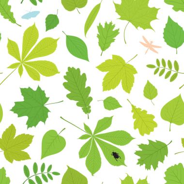 Seamless pattern of different tree leaves and insects clipart