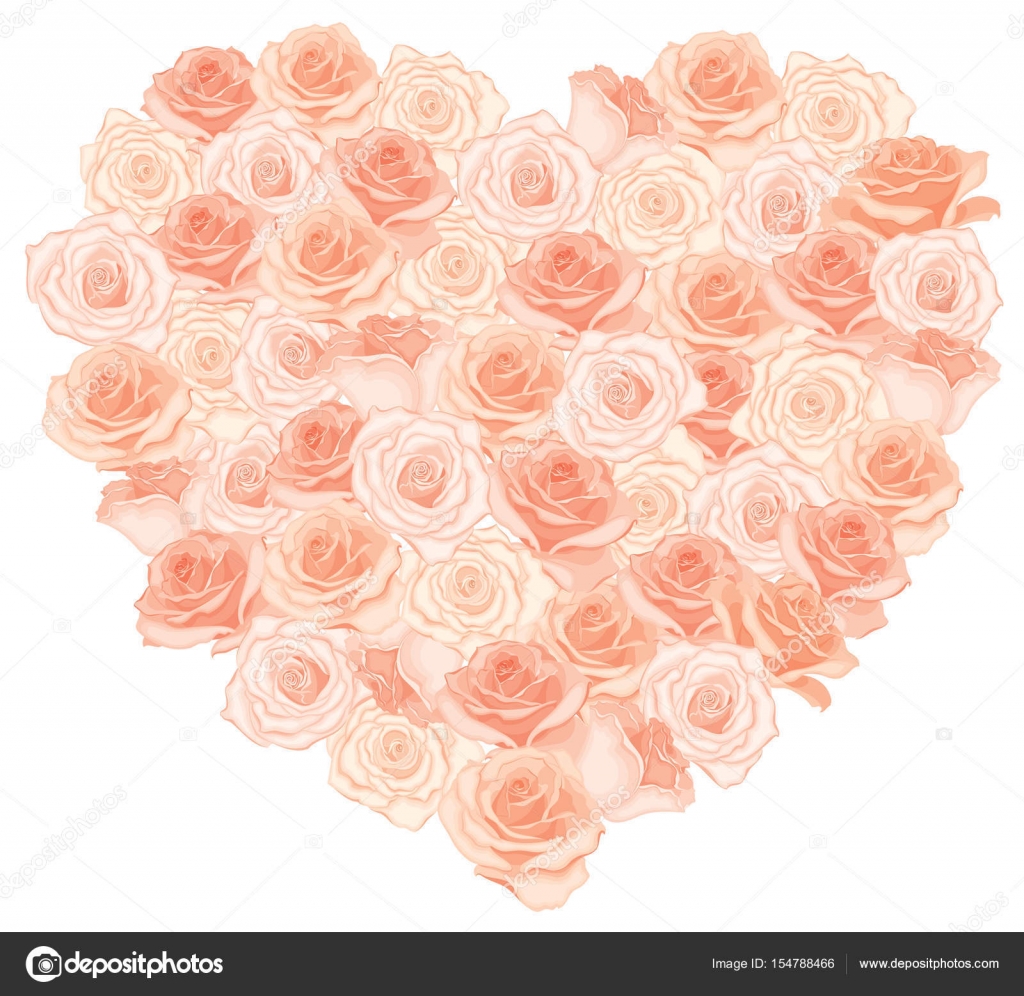 Illustrazione vettoriale di mazzo di cuore realistico dettagliato in color pesca su priorit  bassa bianca Illustrazione per il disegno — Vettoriali di