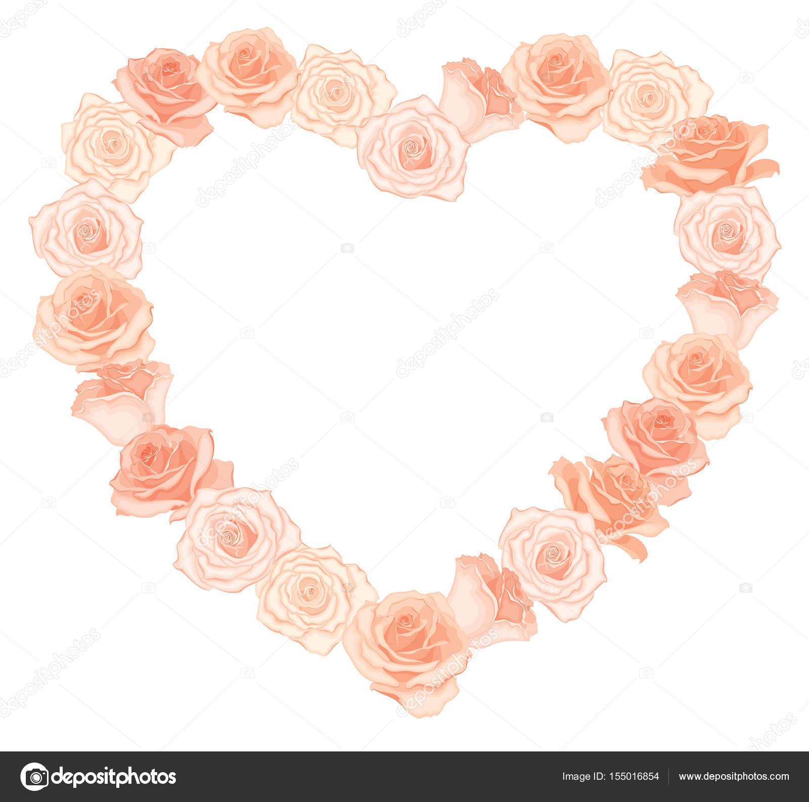 Illustrazione di vettore del telaio di forma cuore realistico e dettagliato delle Rose in color pesca su priorit  bassa bianca Illustrazione per il disegno