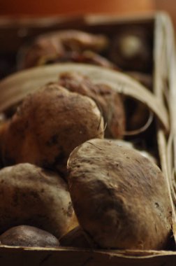 Çörek. Yenilebilir mantar bir sepet, Lubyanka yatan. Mantar.