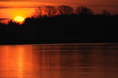 Güneş doğuyor. Güneşli sabah. Güneş ışınları şafak. Aydınlatma bitki sıcak.