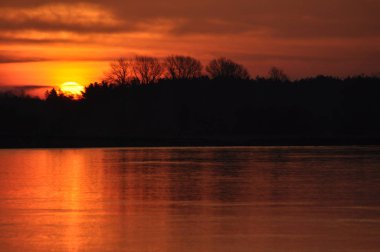Güneş doğuyor. Güneşli sabah. Güneş ışınları şafak. Aydınlatma bitki sıcak.