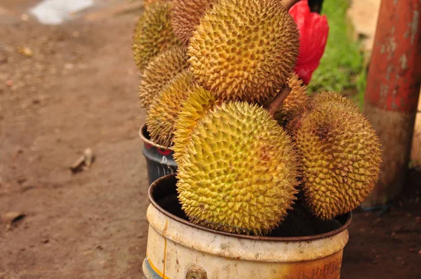 Durian in stekelige shell. Java in Indonesië. — Stockfoto