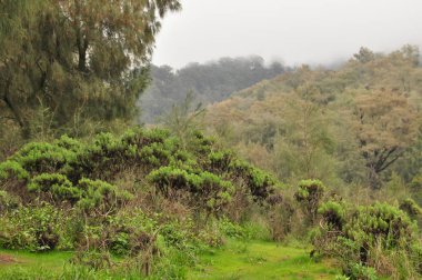 Volkan Semeru, Endonezya tırmanma. Bulutlar krater ve Yeşil Vadi gizlenmiş